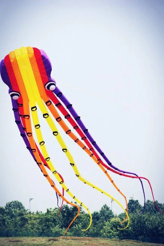 15m Octopus Inflatable Kite