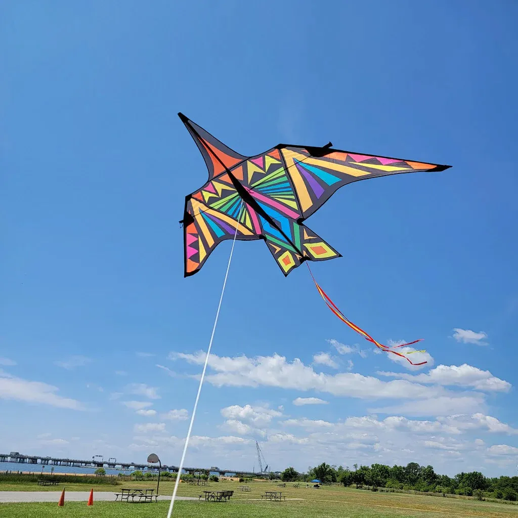 16' Thunderbird Kite - Rainbow Geometric