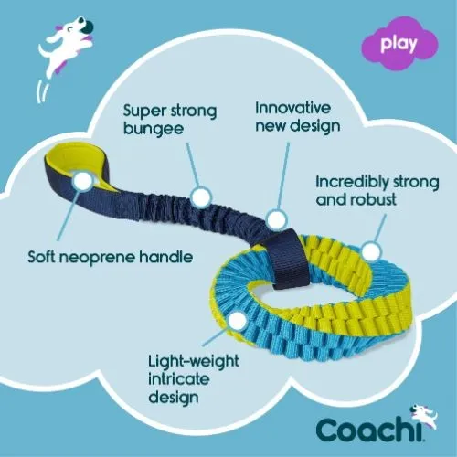 Coachi Training Tuggi Helix Dog Toy