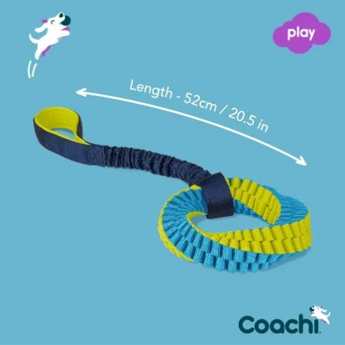 Coachi Training Tuggi Helix Dog Toy