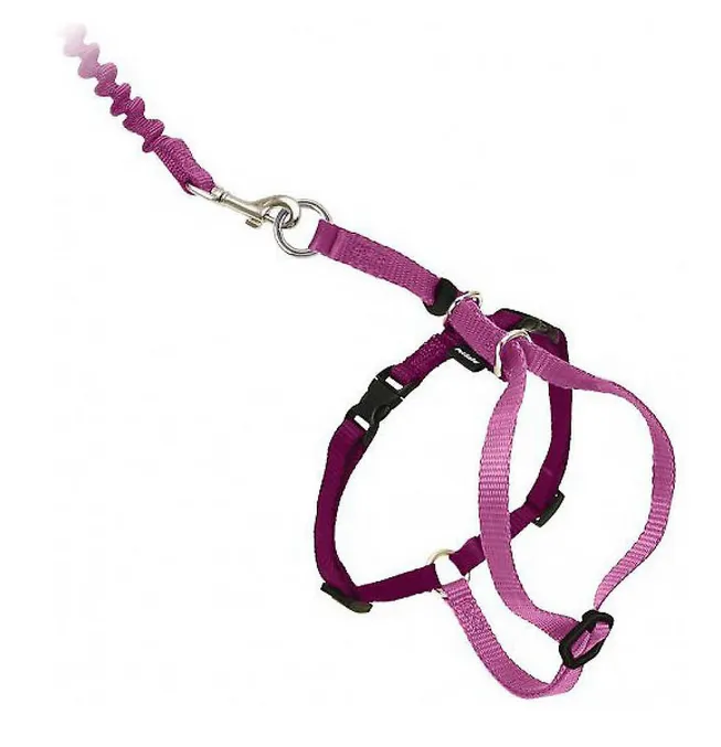 Come With Me Kitty Harness