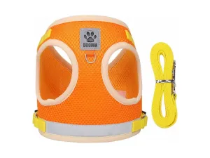 Dog Harness Orange