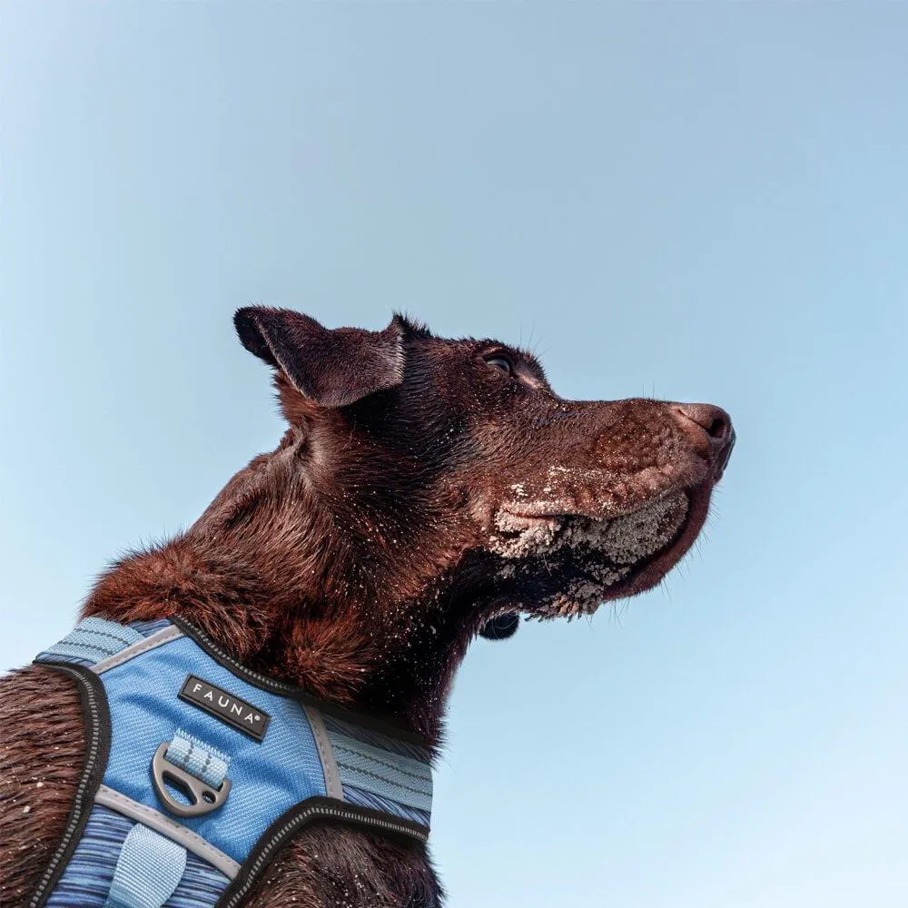 Fauna® Comfort Luxury Blue Dog Harness - S/M/L