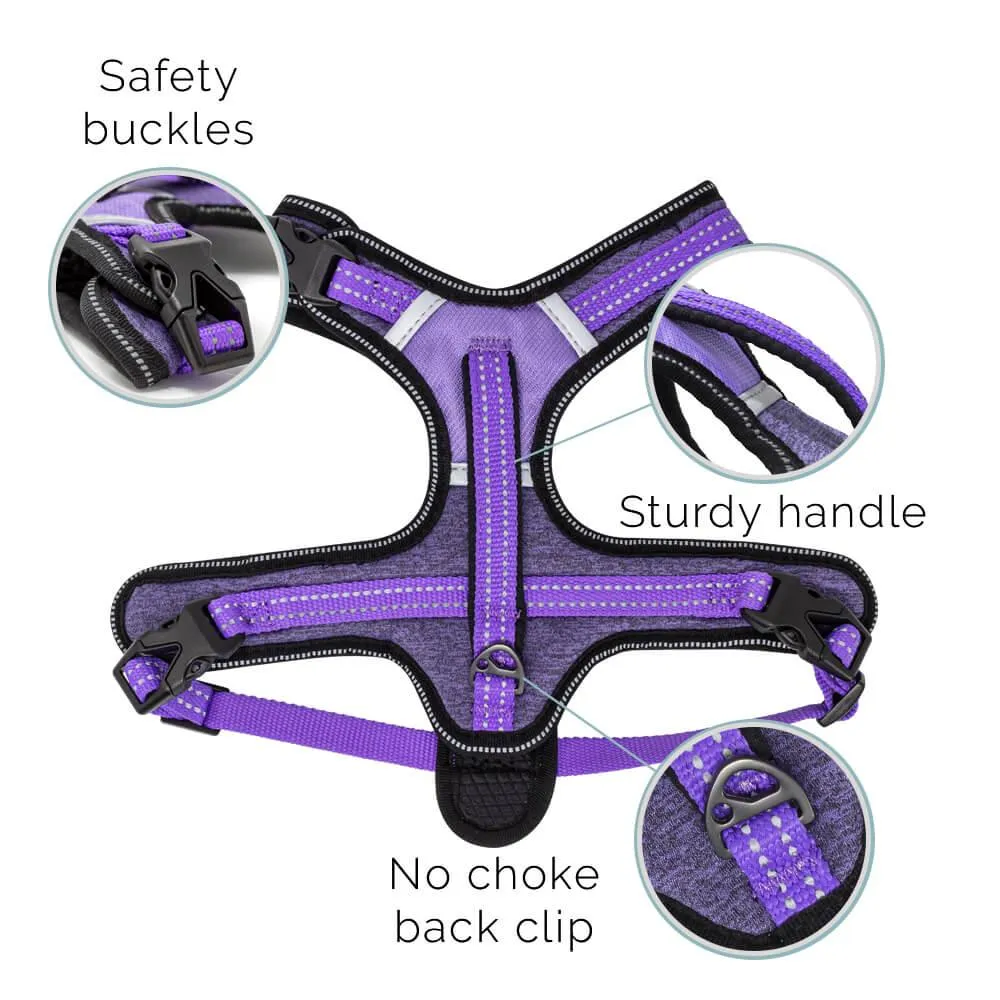 Fauna® Comfort Luxury Purple Dog Harness - S/M/L