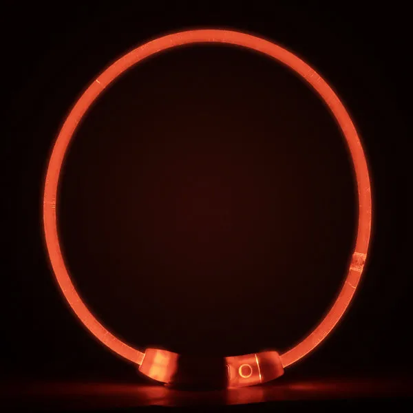 Pet luminous collar