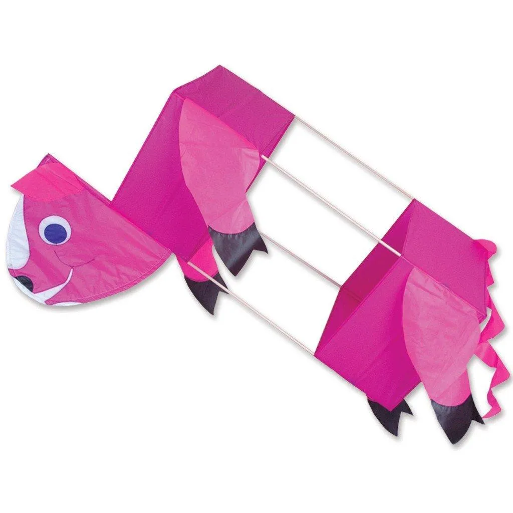 Pig Box Kite