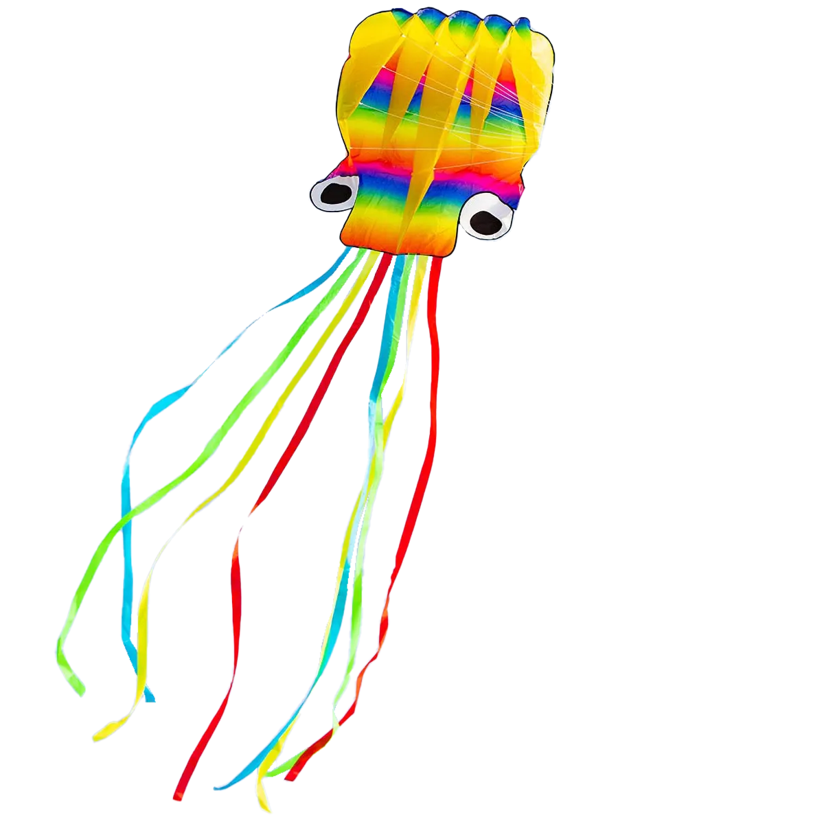 Rainbow Octopus