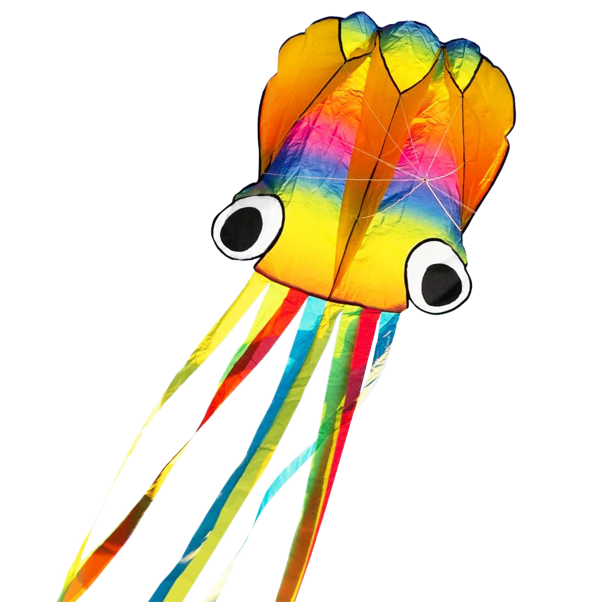 Rainbow Octopus